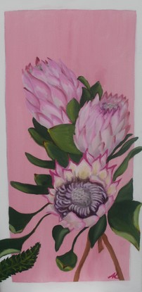 Waratahs and proteas on a pale pink background