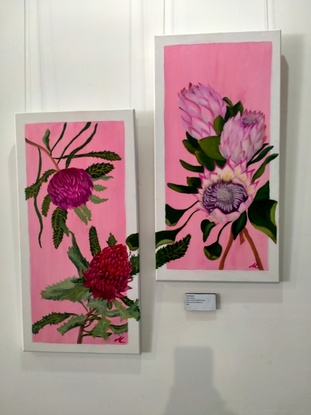 Waratahs and proteas on a pale pink background