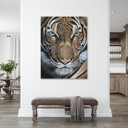 Abhiru Tiger original painting by Anne-Marie Bloor