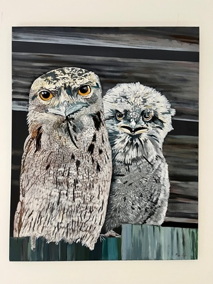 Acrylic on stretched canvas, varnished and ready to hang. Mother and baby frogmouths.