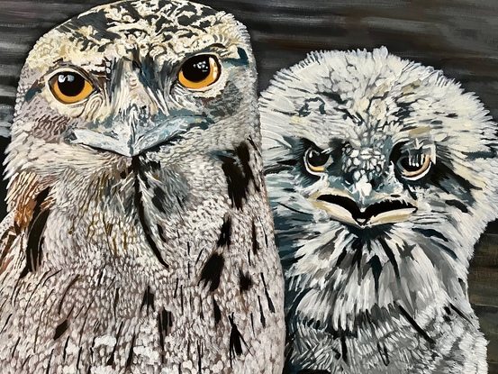 Acrylic on stretched canvas, varnished and ready to hang. Mother and baby frogmouths.