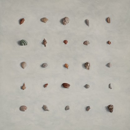 Sea shells of various shapes and sizes painted in rows to form a square on the board. The shells are soft muted colours on a neutral off white textured background. 