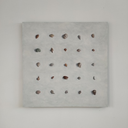 Sea shells of various shapes and sizes painted in rows to form a square on the board. The shells are soft muted colours on a neutral off white textured background. 