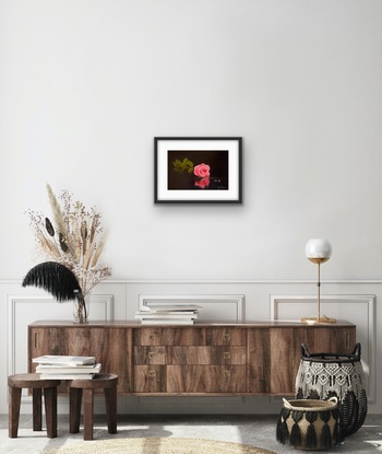 Rose and two ring on glass table 