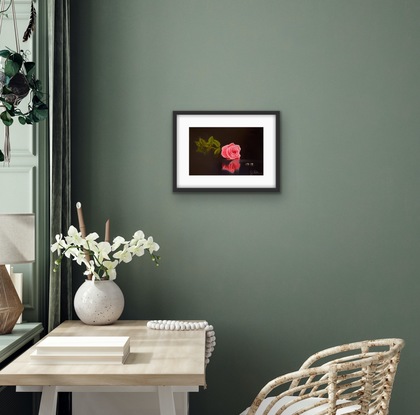 Rose and two ring on glass table 