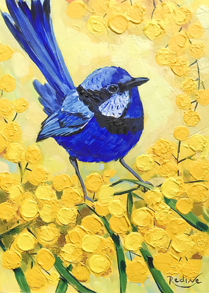 Splendid Fairy Wren bird and Golden Wattle original painting by Irina Redine. Australian bird small artwork framed and ready to hang, gift idea