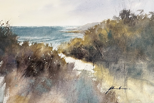 A little sandy track leading to the surf with beach scrub dominating the foreground.