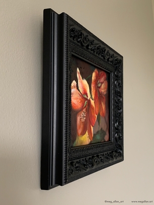 An oil painting with Two Orange flowering maple Blossoms painted with a dark background.