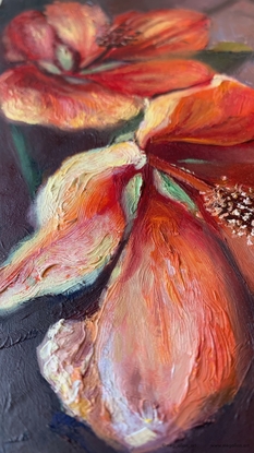 An oil painting with Two Orange flowering maple Blossoms painted with a dark background.