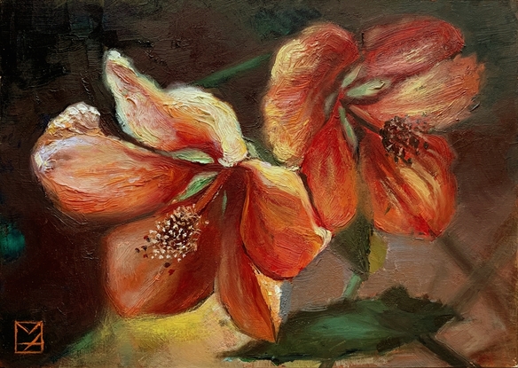 An oil painting with Two Orange flowering maple Blossoms painted with a dark background.