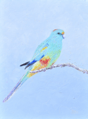 Painting of a colourful native Australian bird, the Mulga Parrot, in shades of blue, yellow and red.