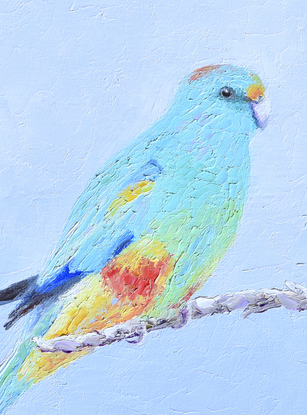 Painting of a colourful native Australian bird, the Mulga Parrot, in shades of blue, yellow and red.