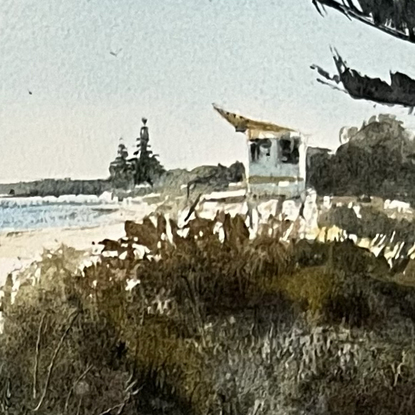 A beach scene on a clear sunny day. Beach scrub in the foreground and the ocean in the distance.