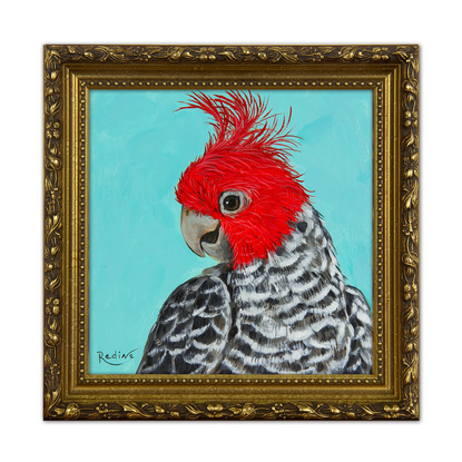 Gang-gang cockatoo portrait on turquoise background original painting by Irina Redine. Australian bird small artwork framed and ready to hang, gift idea