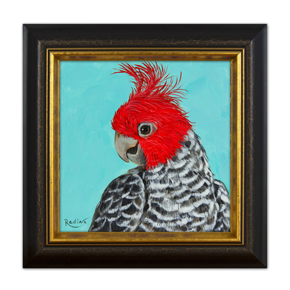 Gang-gang cockatoo portrait on turquoise background original painting by Irina Redine. Australian bird small artwork framed and ready to hang, gift idea