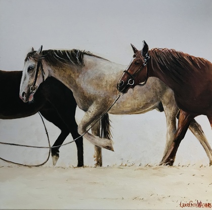 Three horses walking 