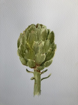 artichoke on white background