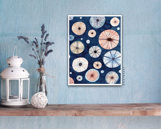 Sea urchins in blush and blue limited edition print