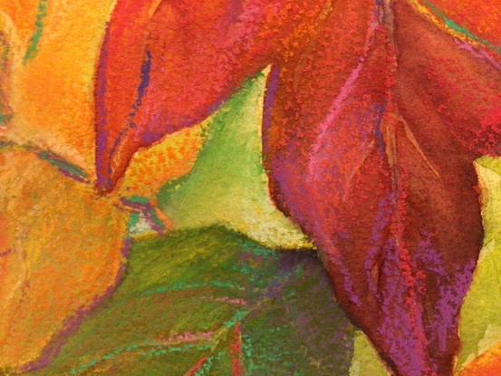 Autumn red orange leaves close up view 