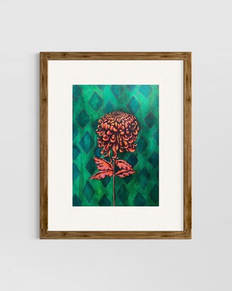 Chrysanthemum flower on green background 