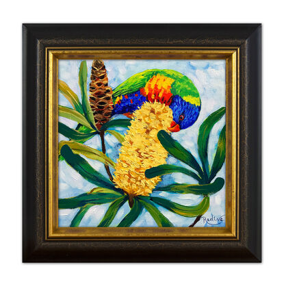 Rainbow lorikeet and Banksia original painting by Irina Redine. Australian nature small artwork framed and ready to hang, gift idea