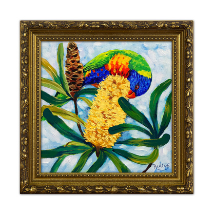 Rainbow lorikeet and Banksia original painting by Irina Redine. Australian nature small artwork framed and ready to hang, gift idea