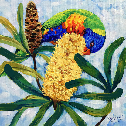 Rainbow lorikeet and Banksia original painting by Irina Redine. Australian nature small artwork framed and ready to hang, gift idea