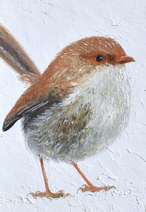 A thickly textured painting of two Superb Fairy Wrens on a white painted background. One, a brown female and the other a brilliant blue male.