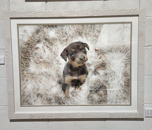 Puppy in fleece of wool