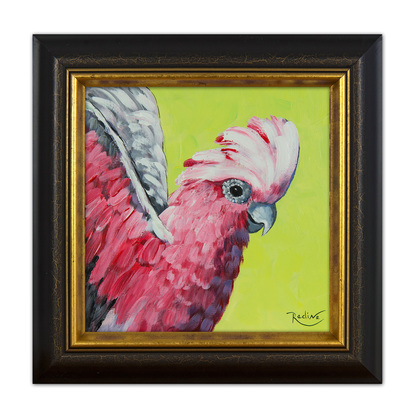 Galah cockatoo portrait on turquoise background original painting by Irina Redine. Australian rose-breasted cockatoo small artwork framed and ready to hang, gift idea