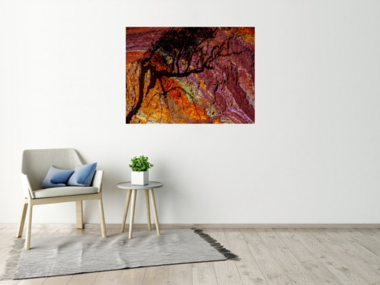 An Australian outback landscape with ochre colours and a eucalyptus tree casting a shadow.