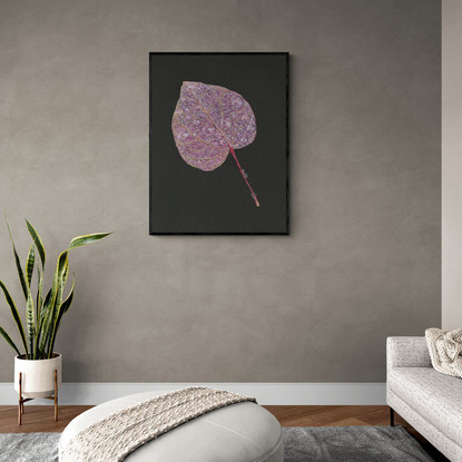 Pink leaf on a black background with water droplets