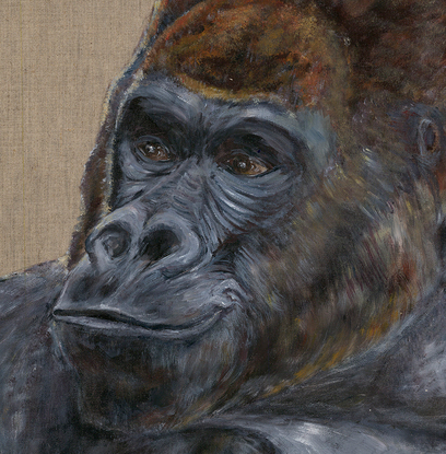 Relaxed gorilla sitting in front of a fabric background