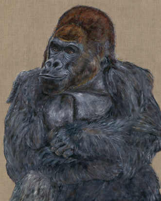 Relaxed gorilla sitting in front of a fabric background