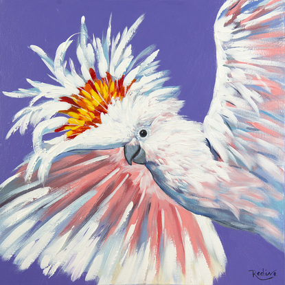 Party cockatoo - Major Mitchell Cockatoo original one-of-a-kind acrylic painting by Irina Redine.
Framed and ready to hang original wall art