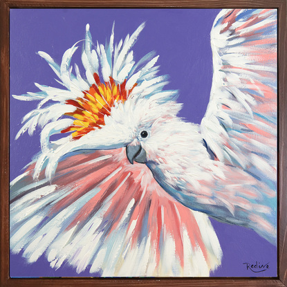 Party cockatoo - Major Mitchell Cockatoo original one-of-a-kind acrylic painting by Irina Redine.
Framed and ready to hang original wall art