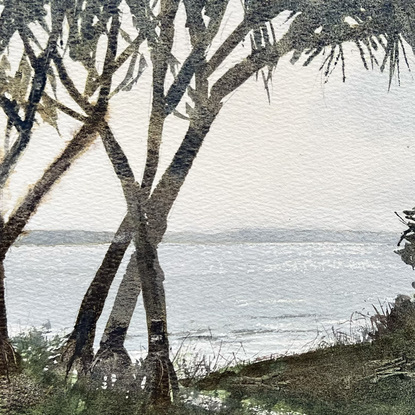 A beach scene on Moreton Island, grass in the foreground, pandanas trees in the mid-ground and the ocean in the distance.