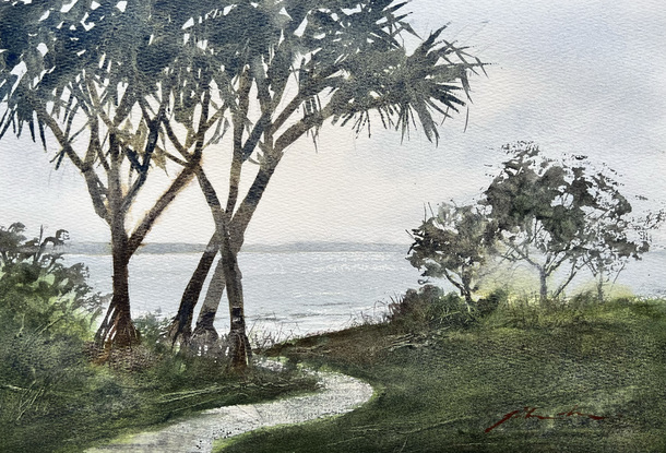 A beach scene on Moreton Island, grass in the foreground, pandanas trees in the mid-ground and the ocean in the distance.