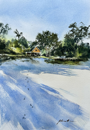 A view from the beach of a little cottage nestled amongst the trees with long shadows of the trees in the foreground.