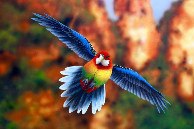 The Three Sisters rock formation an icon of the Blue Mountains is painted slightly out of focus giving a contemporary look against the sharp detail of the three  female Eastern Rosellas in flight. The backdrop of a dramatic red and orange cliff face with  the valley floor of greens and blues looking out to the blue and purple distant mountains!