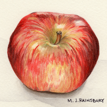 Still life of a red delicious apple on white bench and shadow underneath.