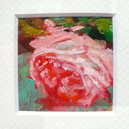 Miniature closeup of luxurious pink rose with teal green and red, by Australian artist Victoria Collins