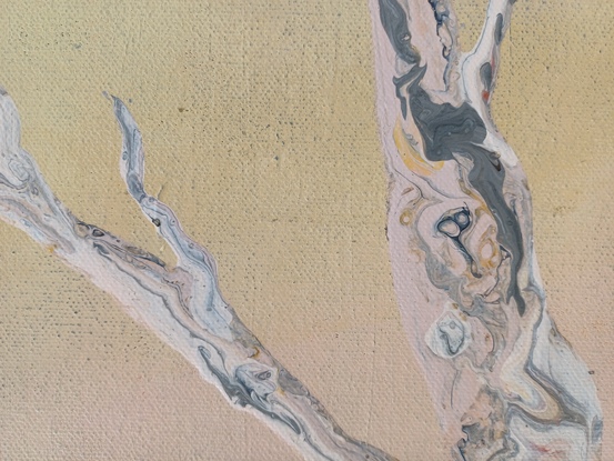 River red gum in shades of grey and softest pink on a pastel gradated background of lemon and mauve