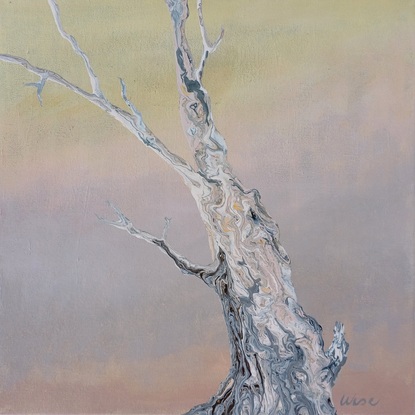 River red gum in shades of grey and softest pink on a pastel gradated background of lemon and mauve