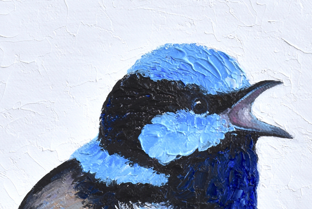 Thickly textured oil painting of a singing Superb Fairy Wren standing on a white background.