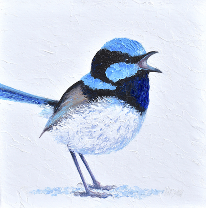 Thickly textured oil painting of a singing Superb Fairy Wren standing on a white background.