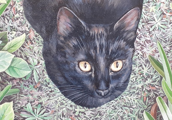 An original oil painting of a black cat  who is sitting on the grass looking up at the viewer.  Many tiny dandelions grow in the lawn which is surrounded by shrubs and agapanthus leaves.  A soft light illuminates the black coat of the cat and brings out deep hidden colours of purple, blue, sienna and grey but the striking feature is the cat's eyes which are a light golden colour.