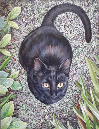 An original oil painting of a black cat  who is sitting on the grass looking up at the viewer.  Many tiny dandelions grow in the lawn which is surrounded by shrubs and agapanthus leaves.  A soft light illuminates the black coat of the cat and brings out deep hidden colours of purple, blue, sienna and grey but the striking feature is the cat's eyes which are a light golden colour.