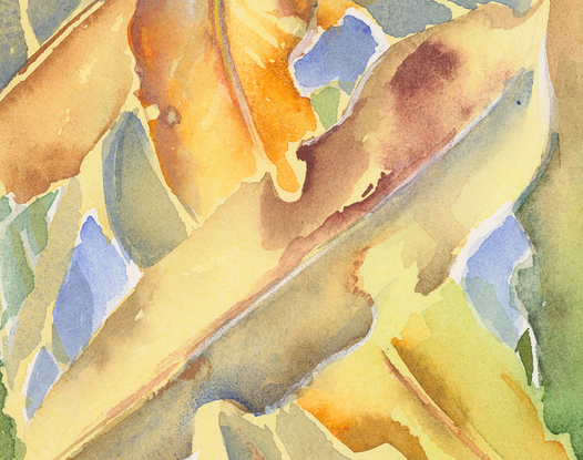 Watercolour painting of Australian gum leaves in yellow, orange, green, gold with blue in the background.