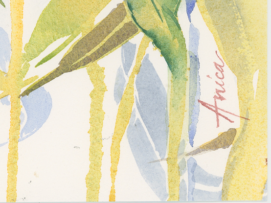 Watercolour painting of Australian gum leaves in yellow, orange, green, gold with blue in the background.